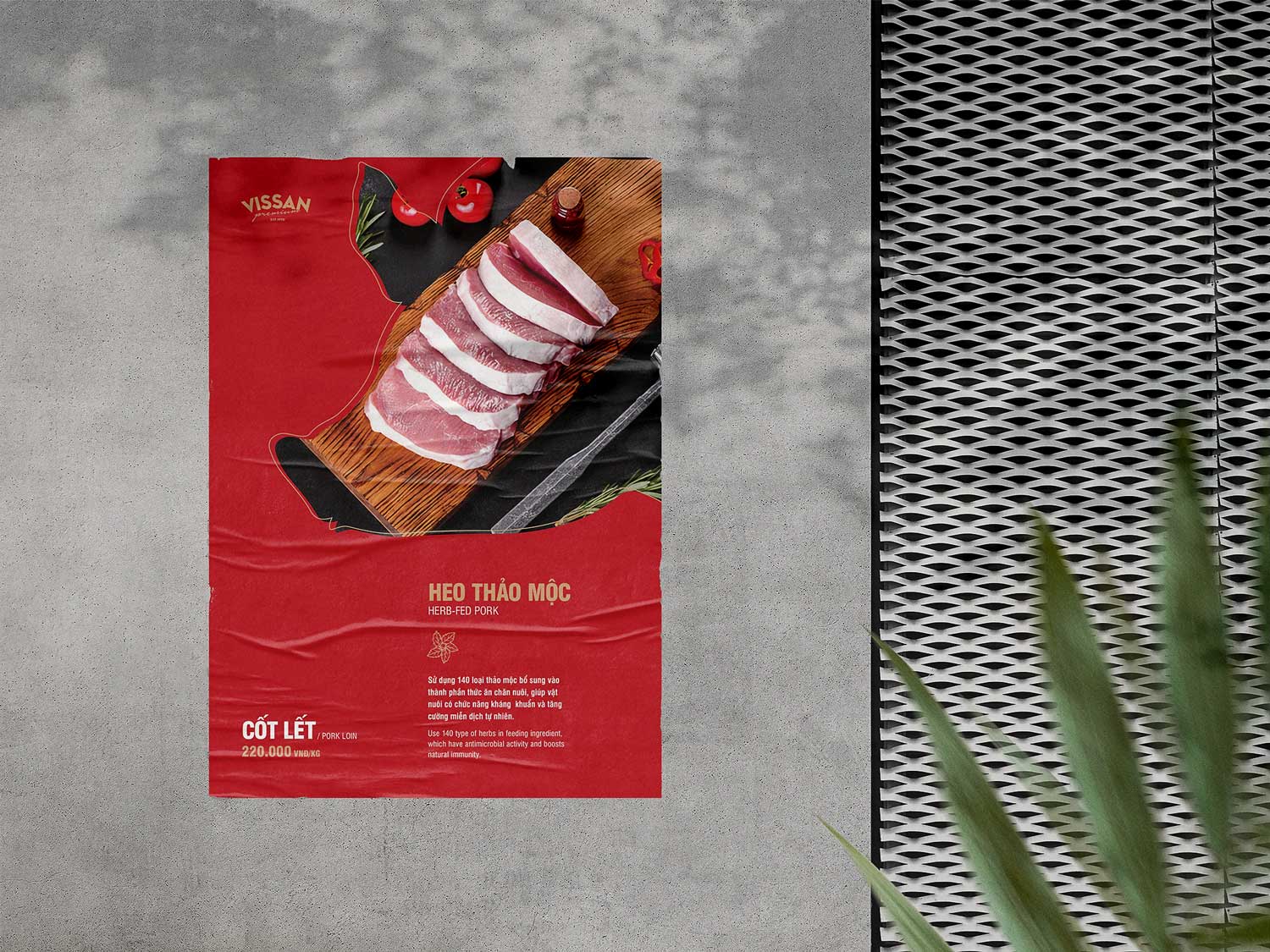 MB81 Studio's project