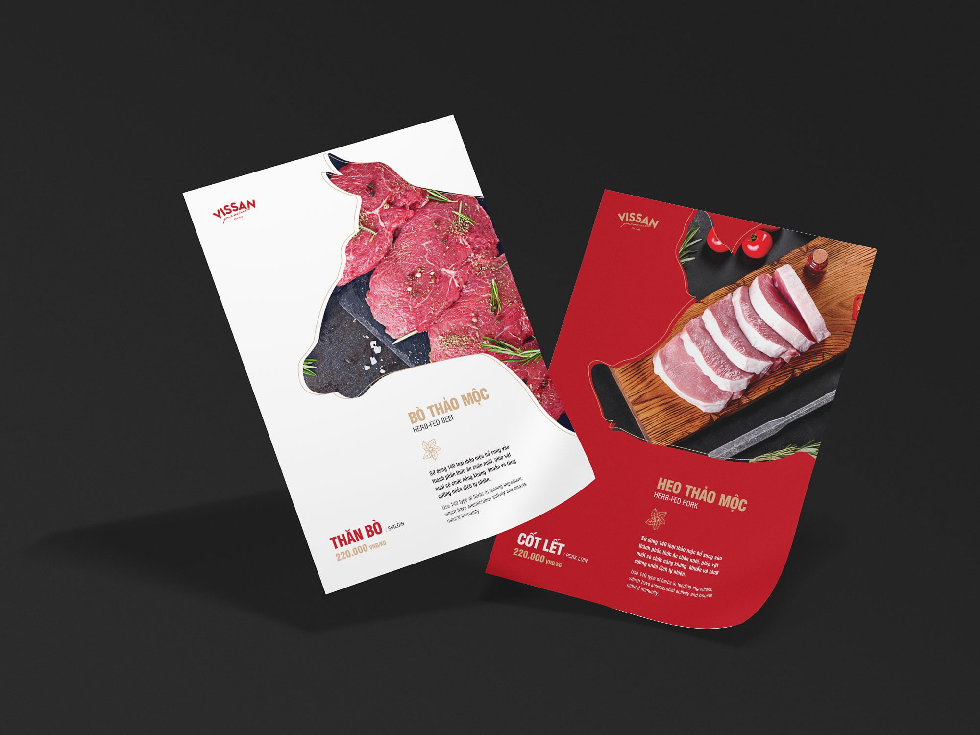 MB81 Studio's project