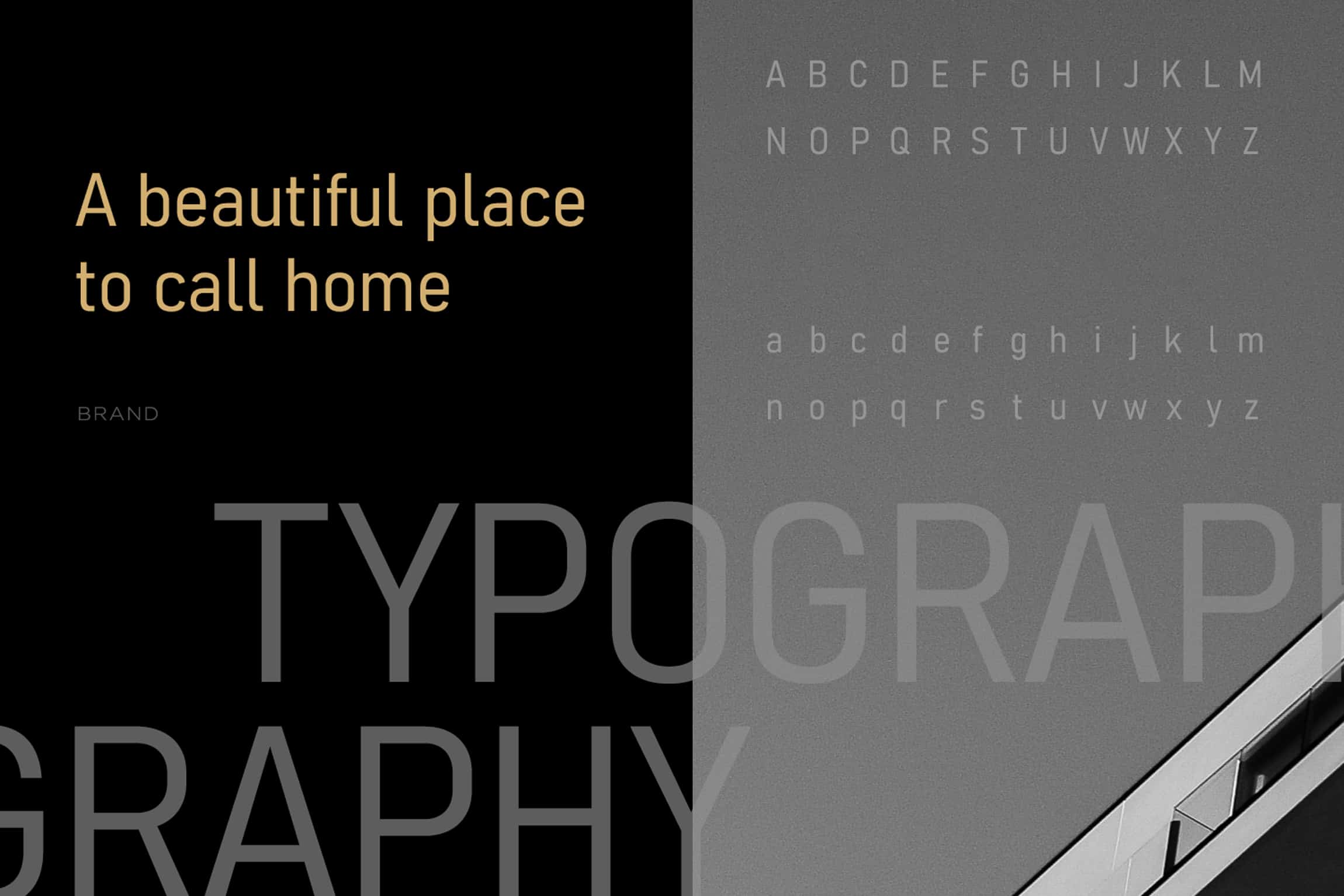 MB81 Studio's project
