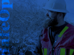 MB81 Studio's project