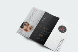 MB81 Studio's project